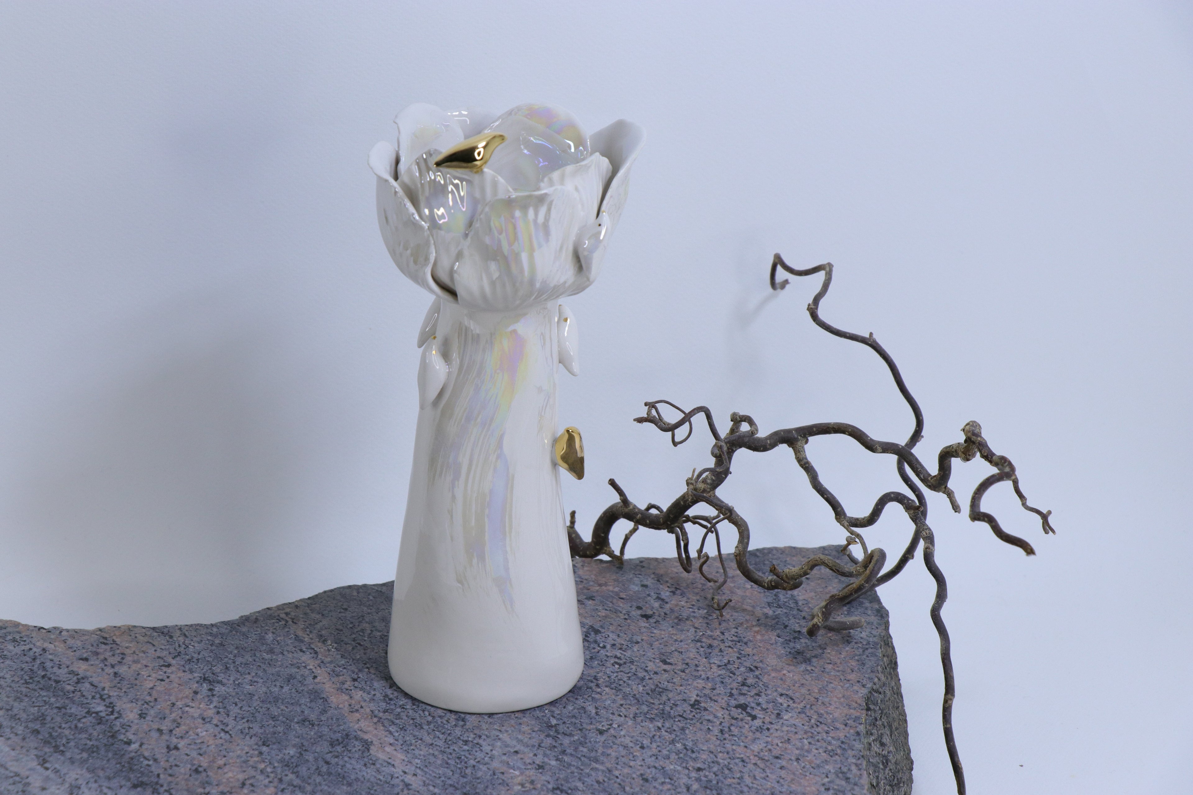 Sparnų prieglobstis