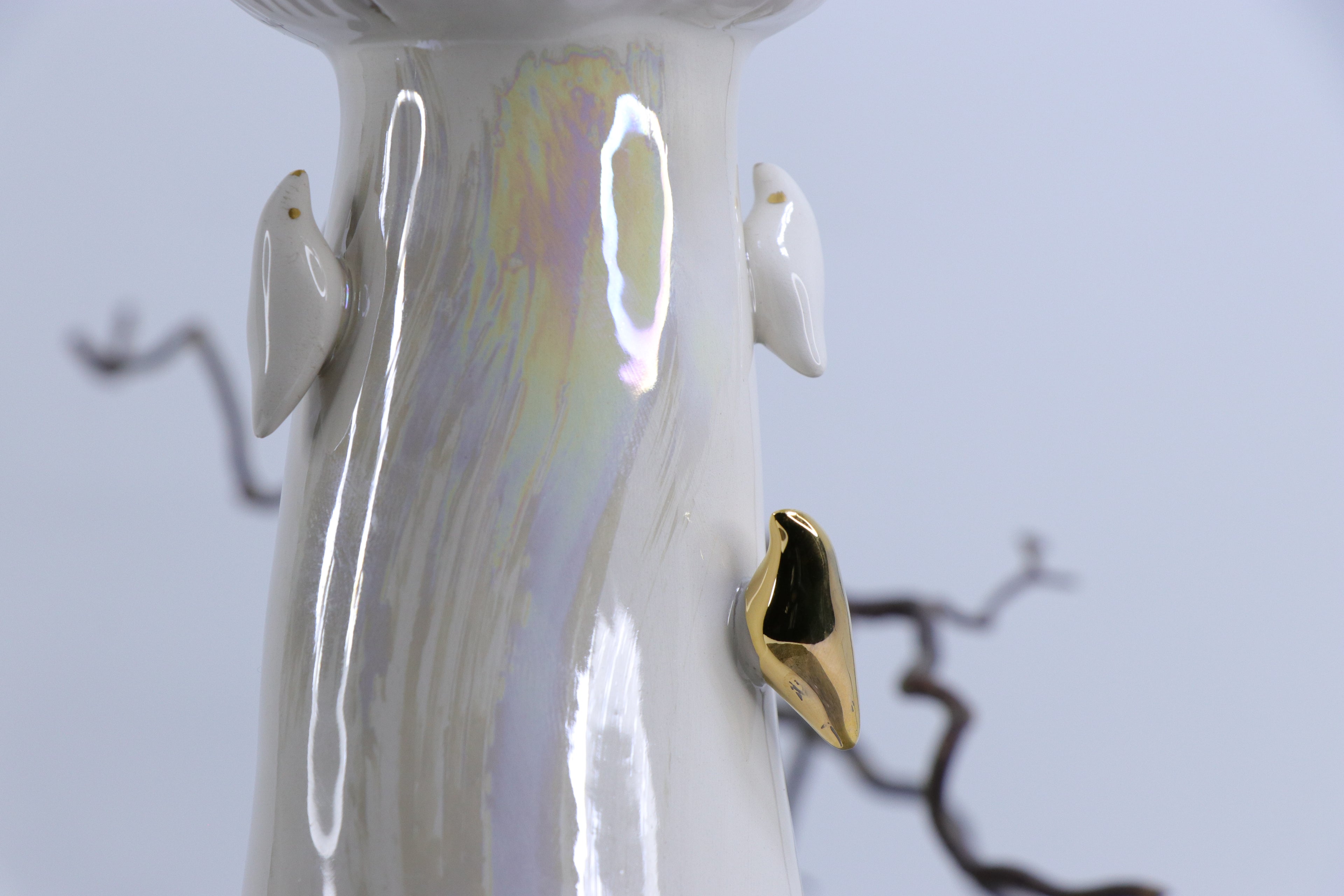 Sparnų prieglobstis