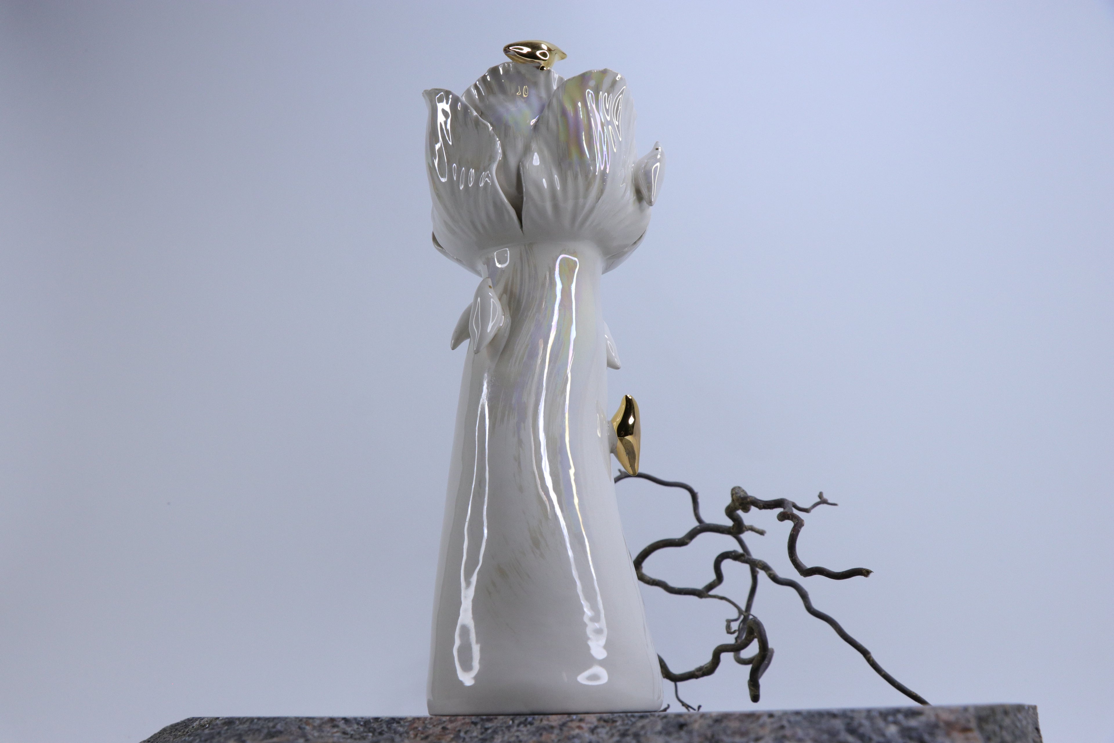 Sparnų prieglobstis