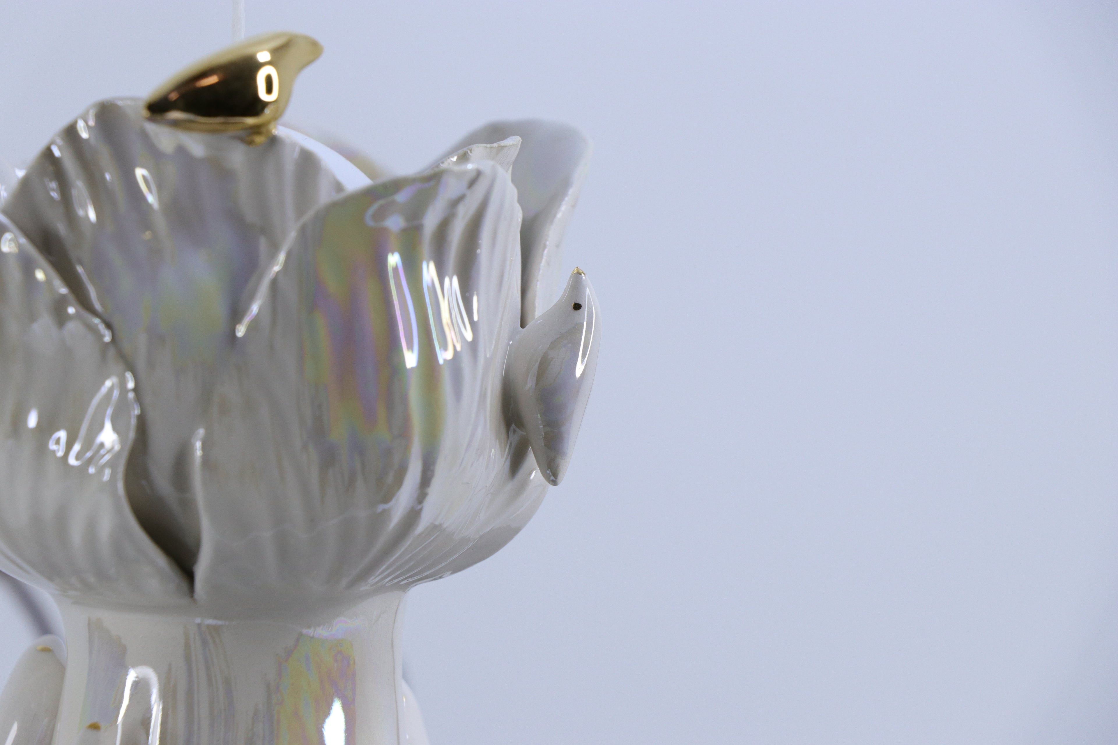 Sparnų prieglobstis