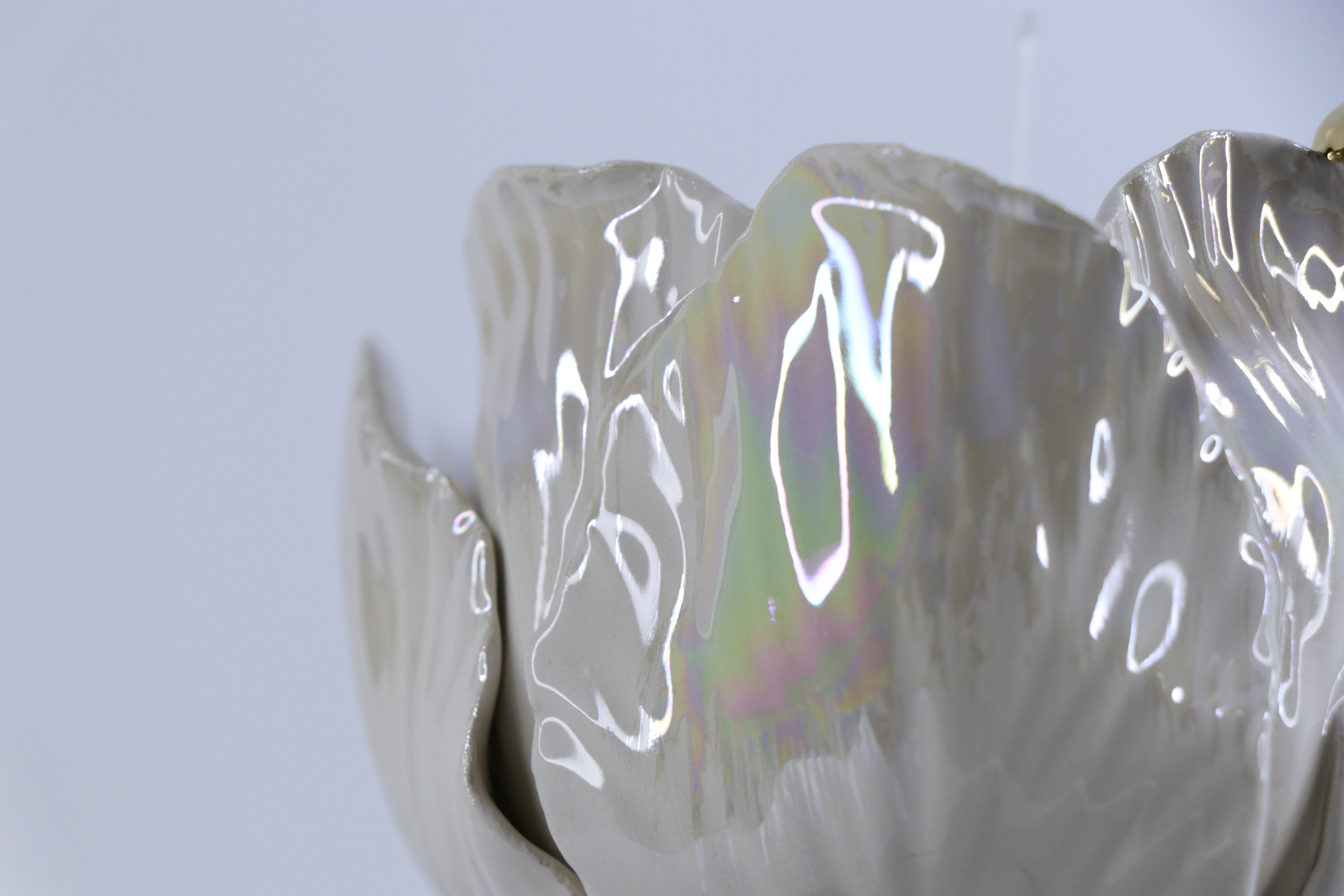 Sparnų prieglobstis