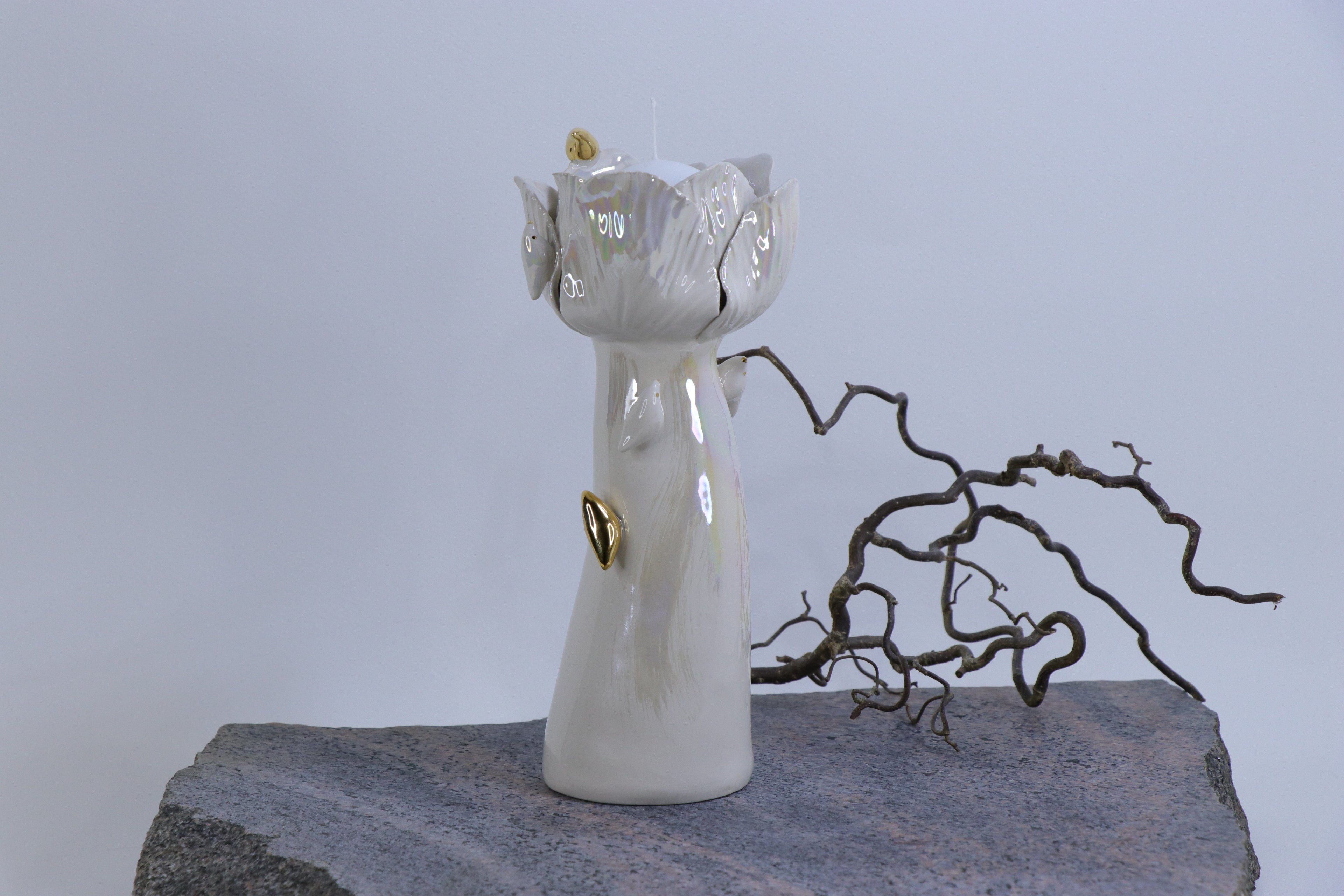 Sparnų prieglobstis