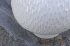 Baltoji sfera