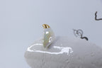 White Wave | Bowl