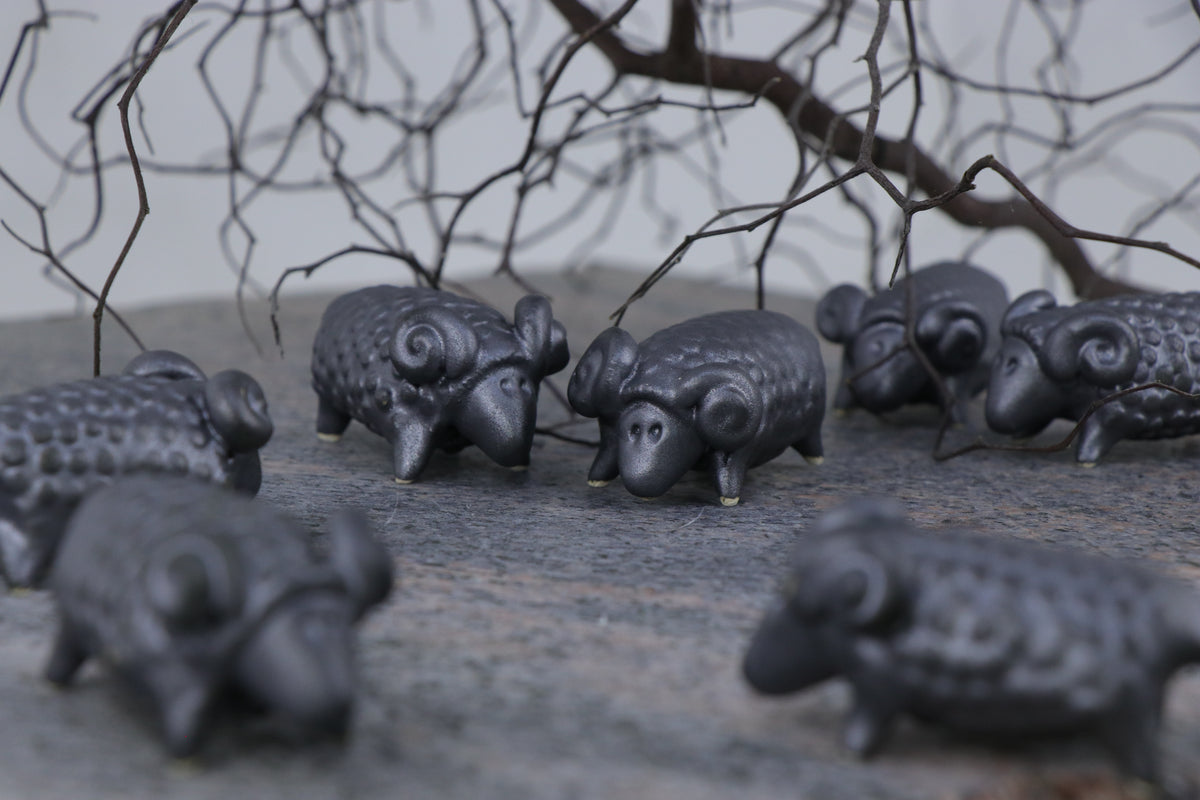 The Pink Sheep Tale