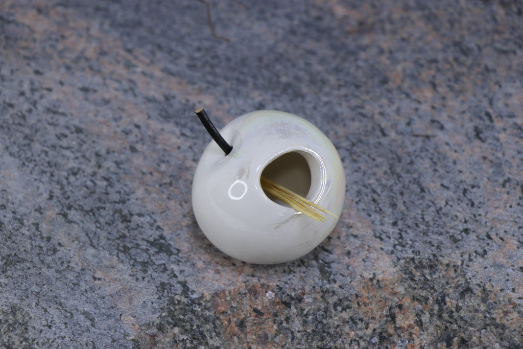 Apple | Toothpick holder