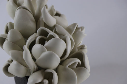 White flowers