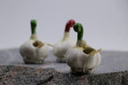Garlic | Toothpick Holder