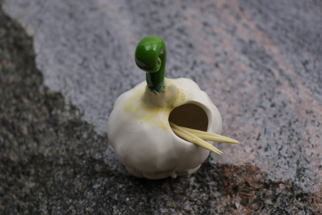 Garlic | Toothpick Holder