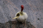 Garlic | Toothpick Holder
