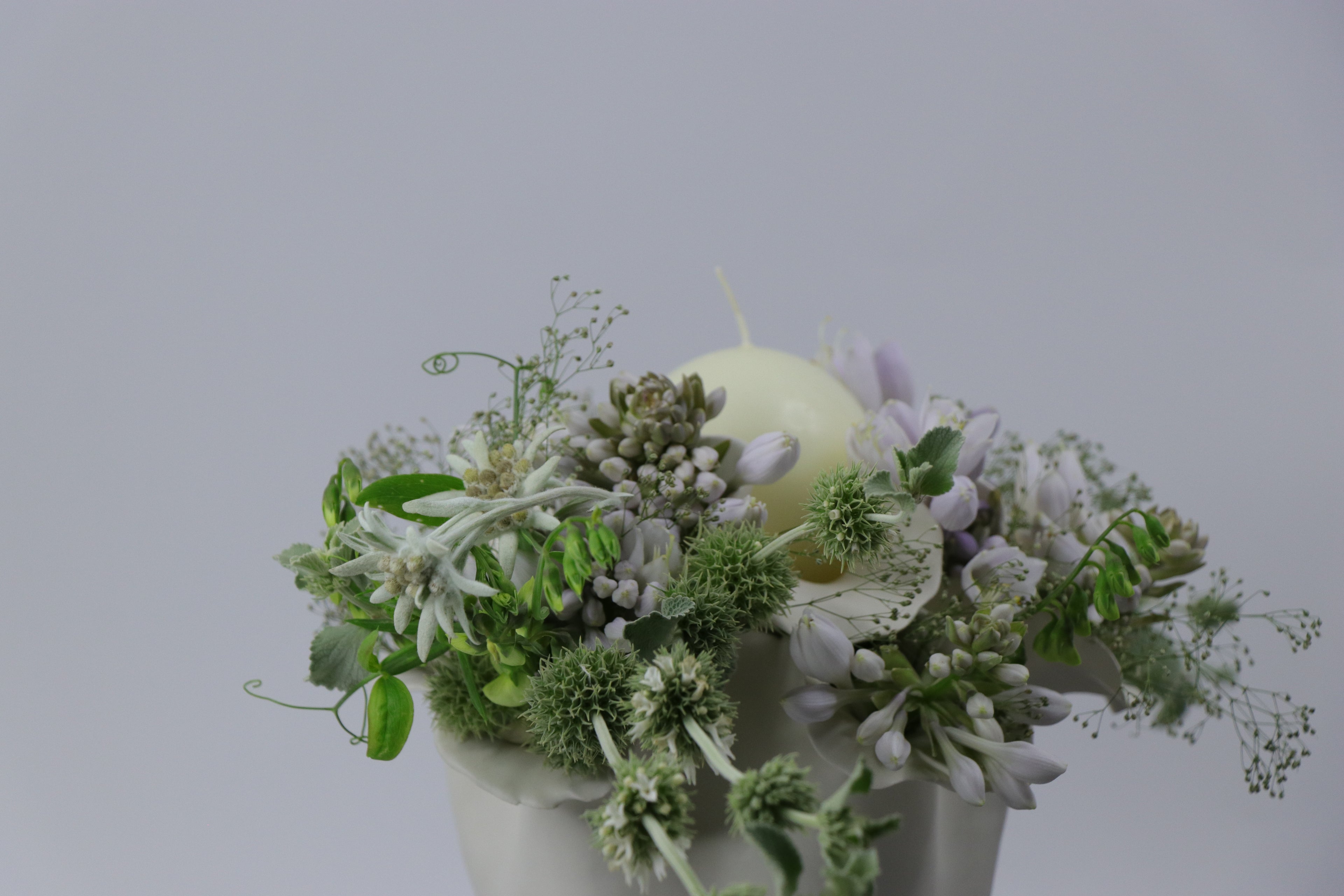 Fabulous flower garden