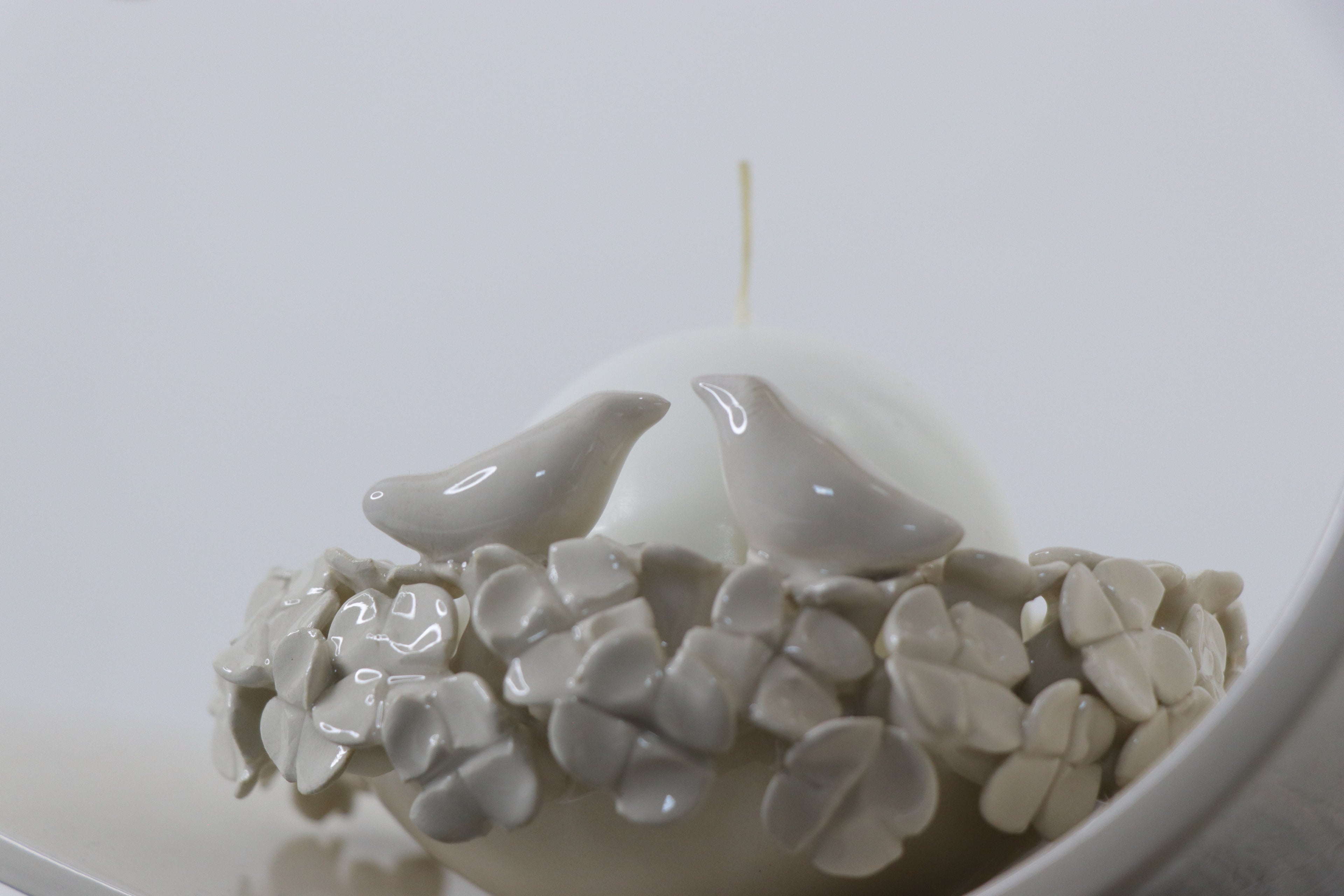 Calm curve | With birds