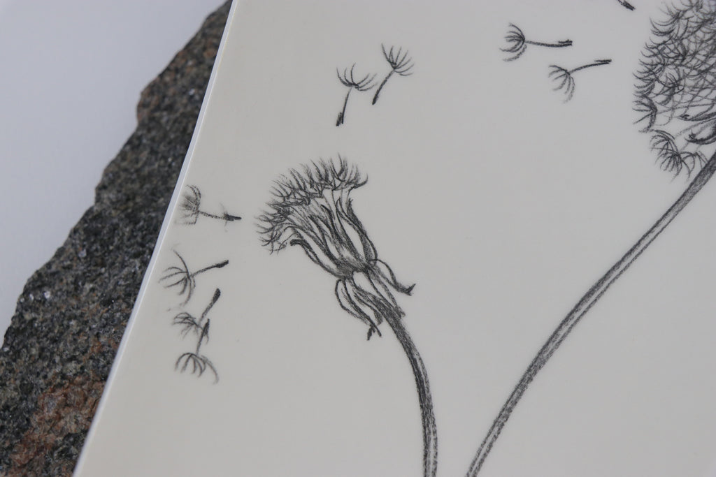 A fluffy journey | Plate