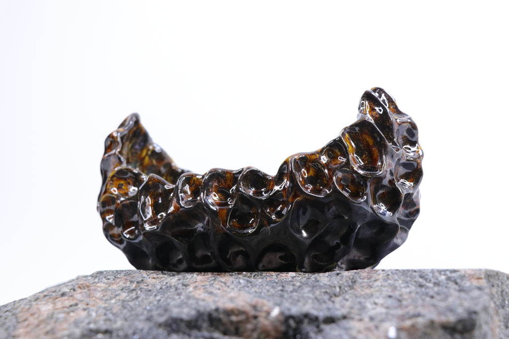 Gintariniai koralai | Dubuo