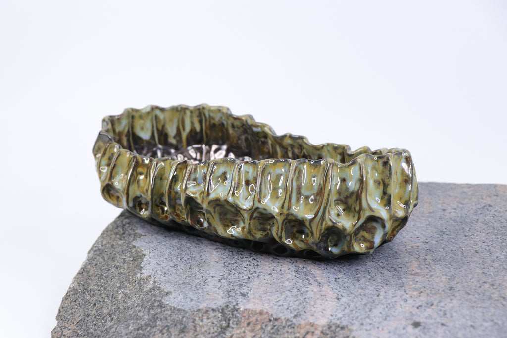 Žaliasis koralas | Dubuo