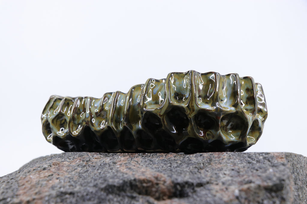 Žaliasis koralas | Dubuo