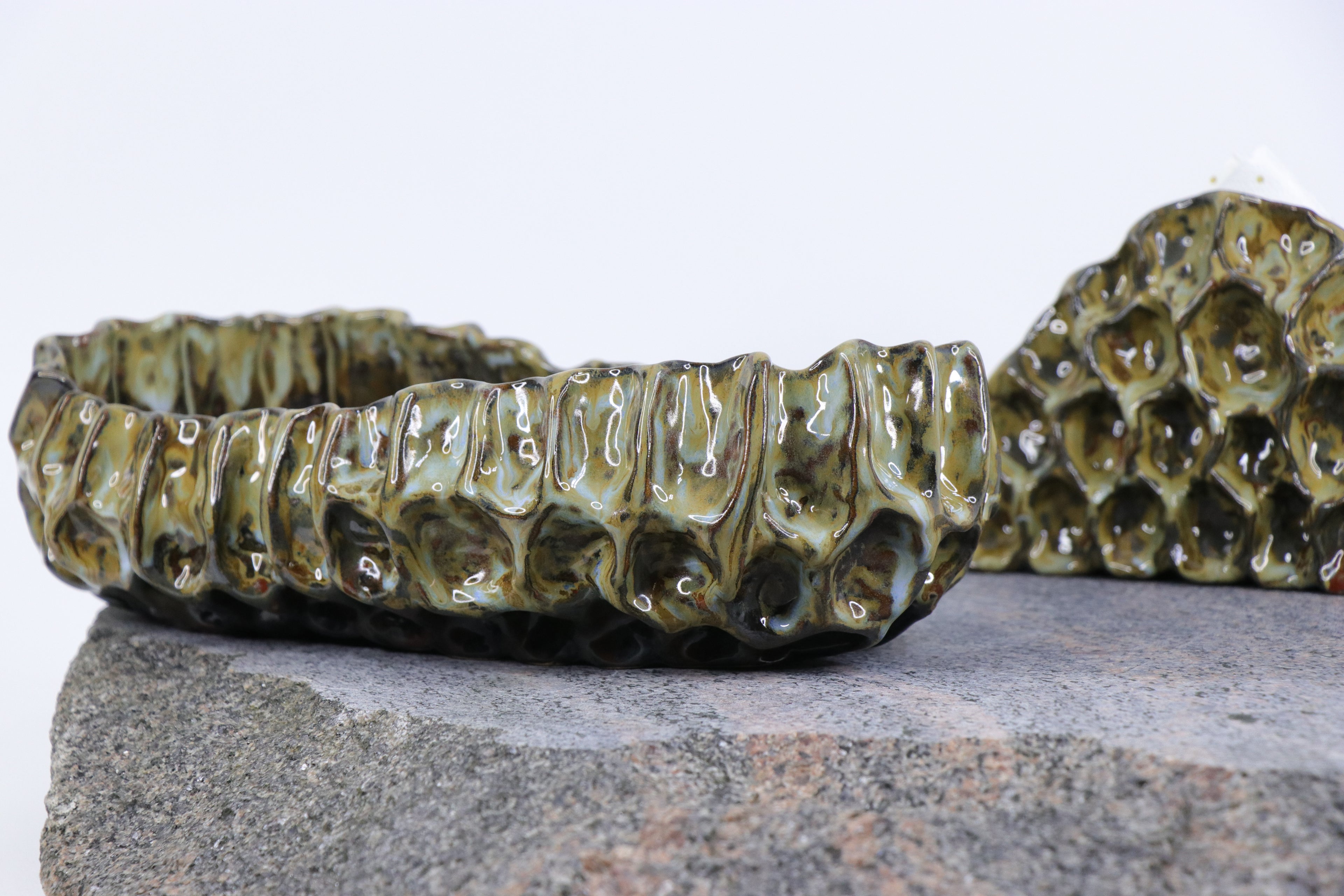 Žaliasis koralas | Dubuo