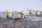 The Sheep's Tale