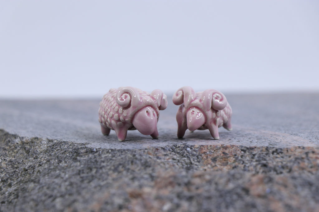 The Pink Sheep Tale