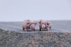 The Pink Sheep Tale