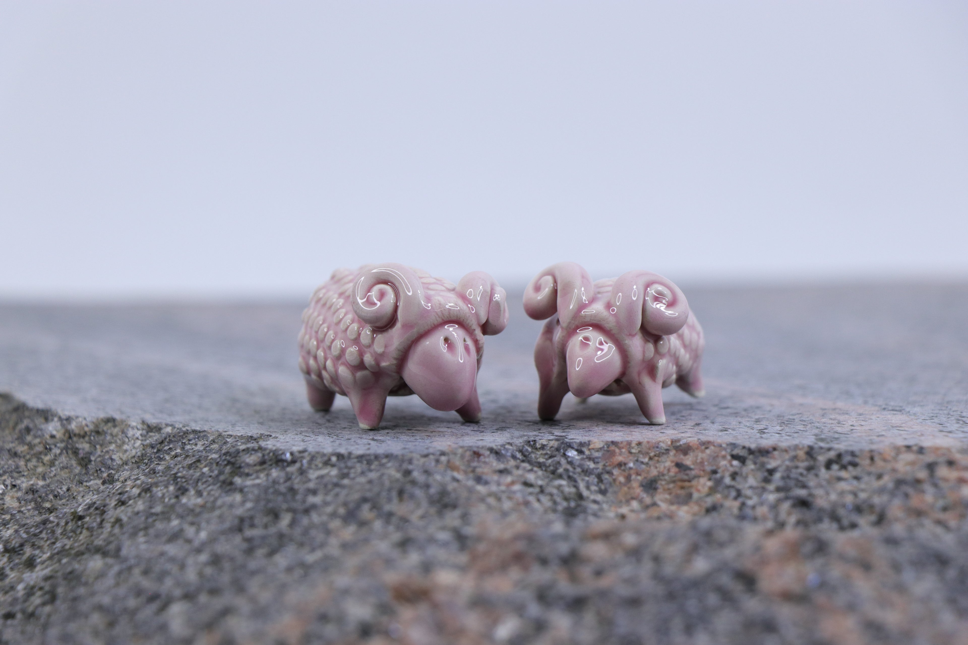 The Pink Sheep Tale