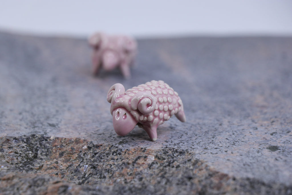 The Pink Sheep Tale