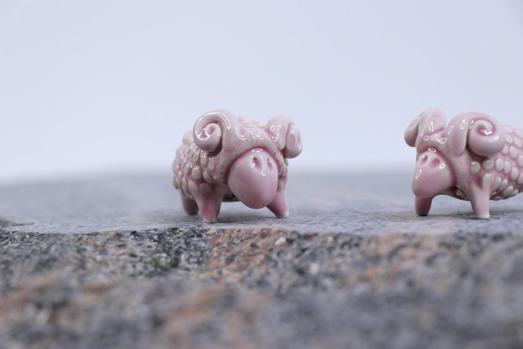 The Pink Sheep Tale