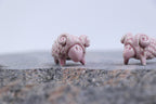 The Pink Sheep Tale