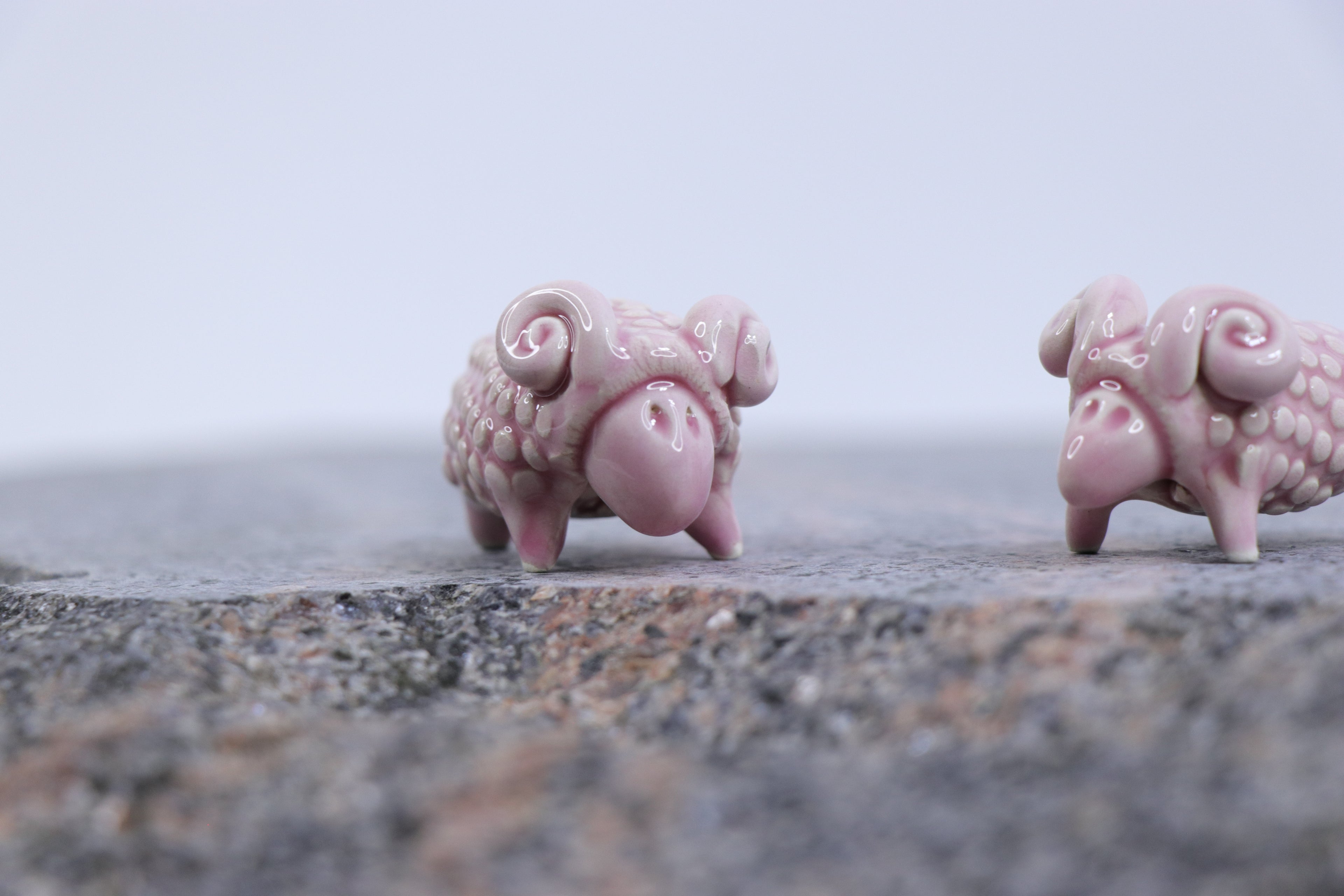 The Pink Sheep Tale