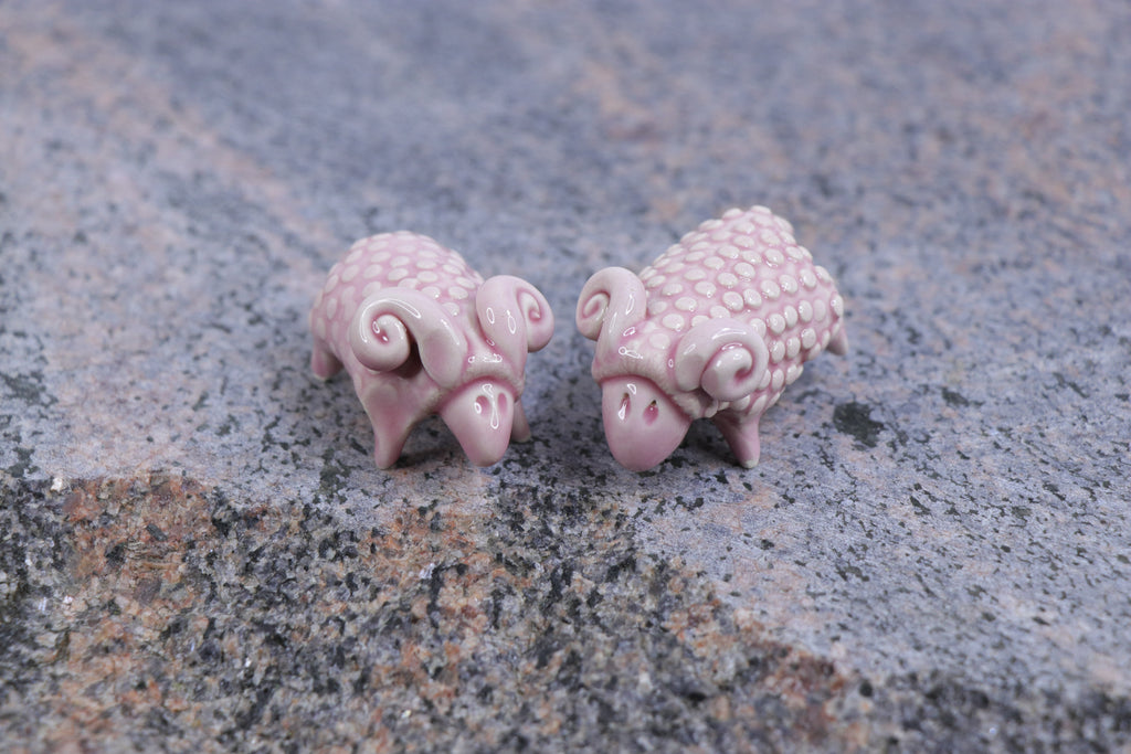 The Pink Sheep Tale