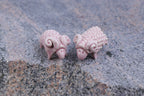 The Pink Sheep Tale