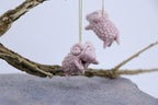 The Pink Sheep Tale