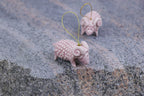 The Pink Sheep Tale