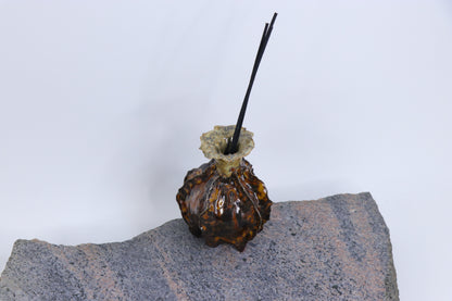 Gintarinis kaktusas