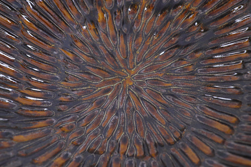 Deep shape | Plate