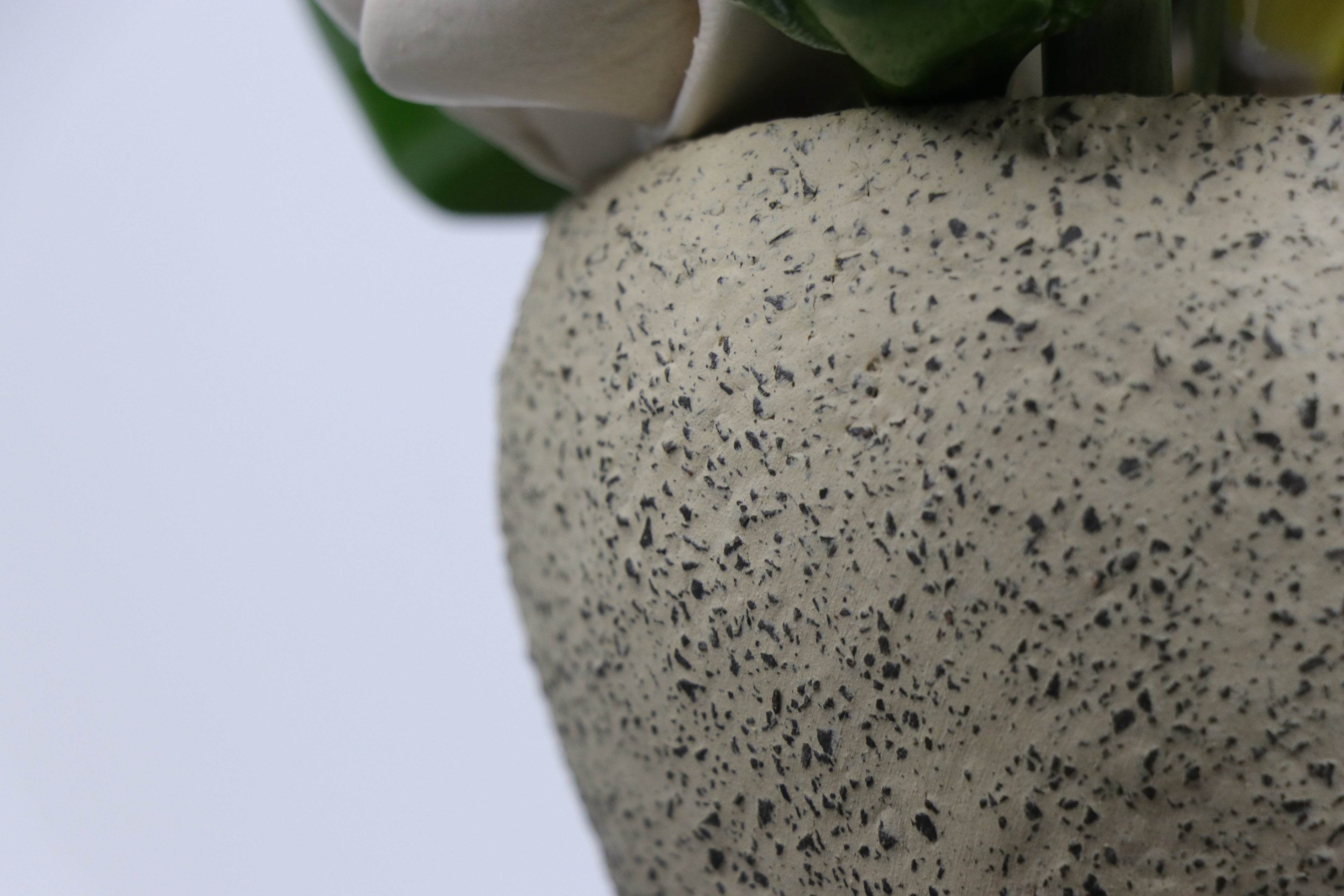 The secret that blossomed