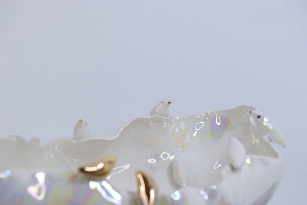 Paukščių pokalbiai | Dubuo