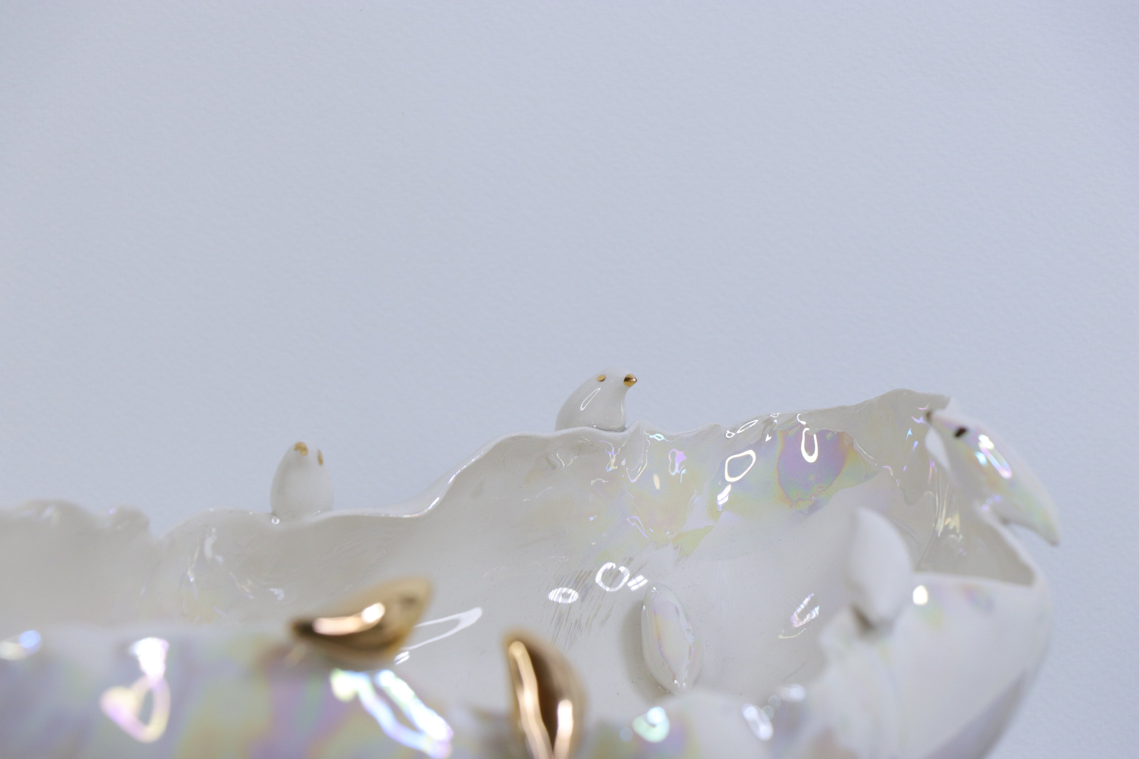 Paukščių pokalbiai | Dubuo