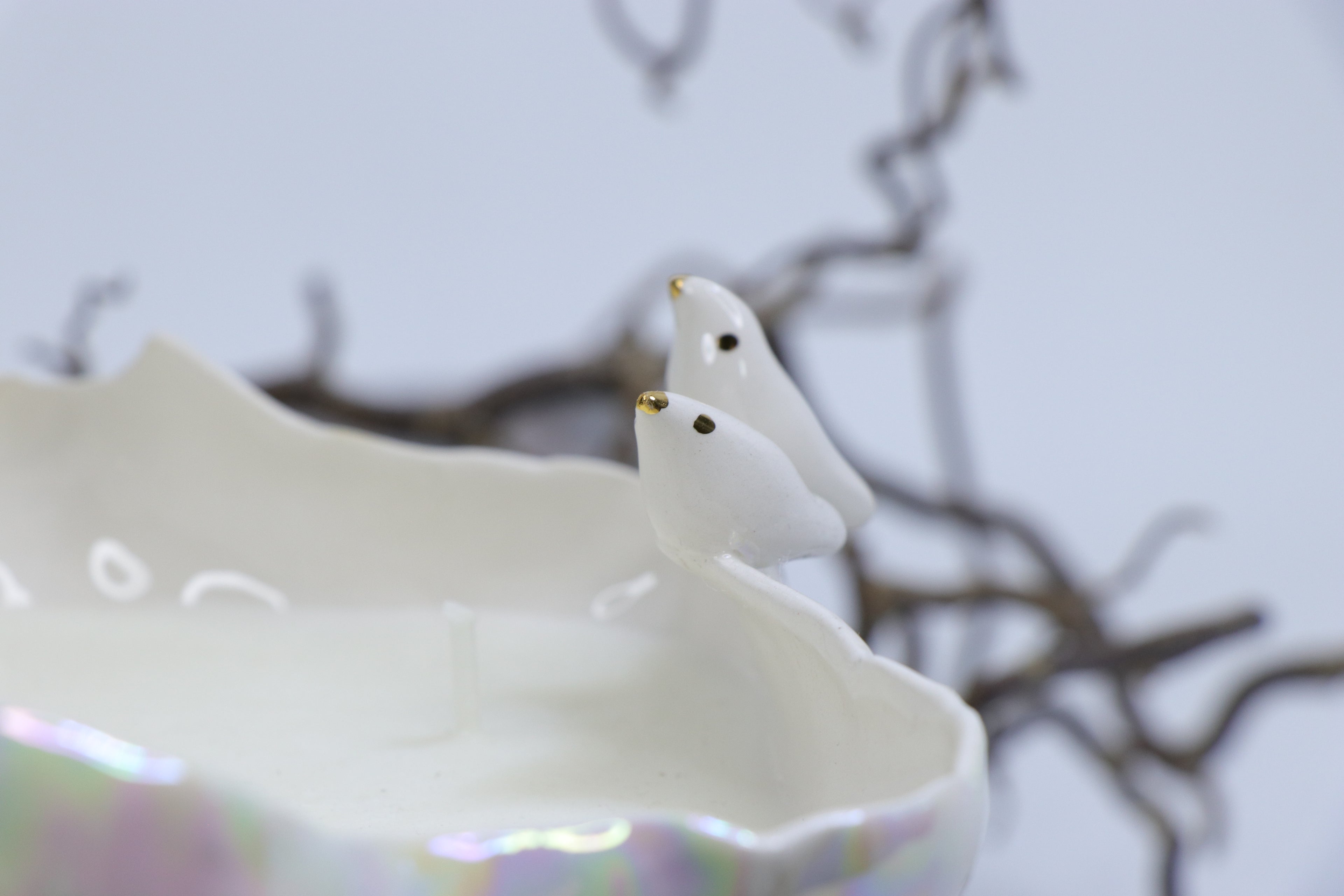 Oval Peace | Without Birds